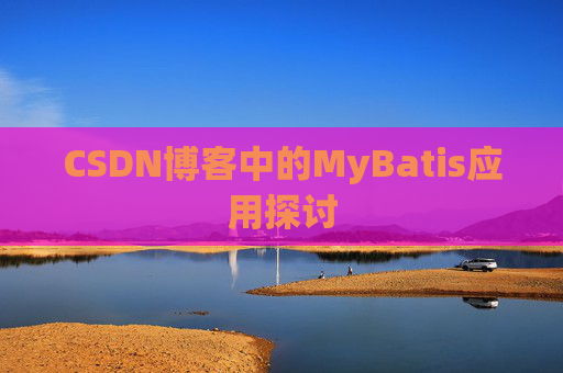 CSDN博客中的MyBatis应用探讨